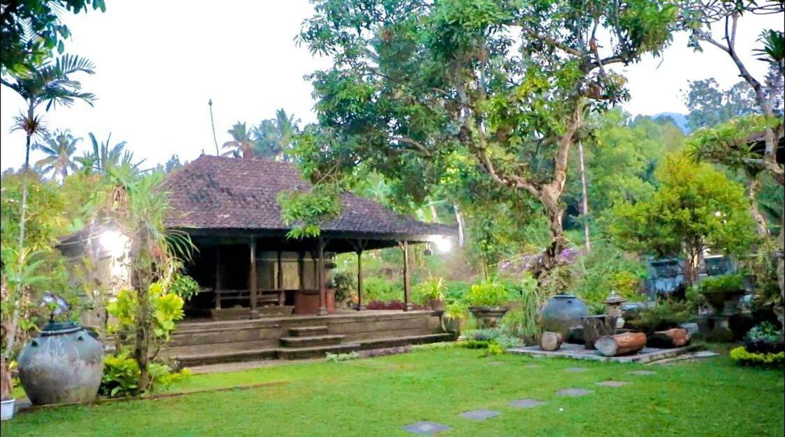 Mesari Cottage Guest House Buleleng  Luaran gambar