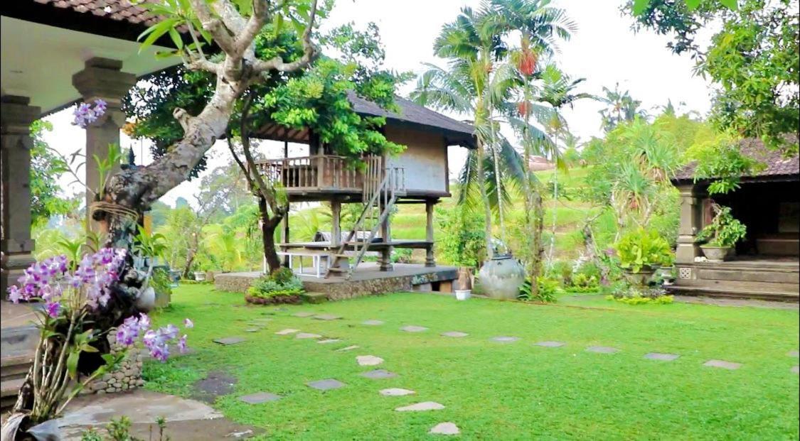 Mesari Cottage Guest House Buleleng  Luaran gambar