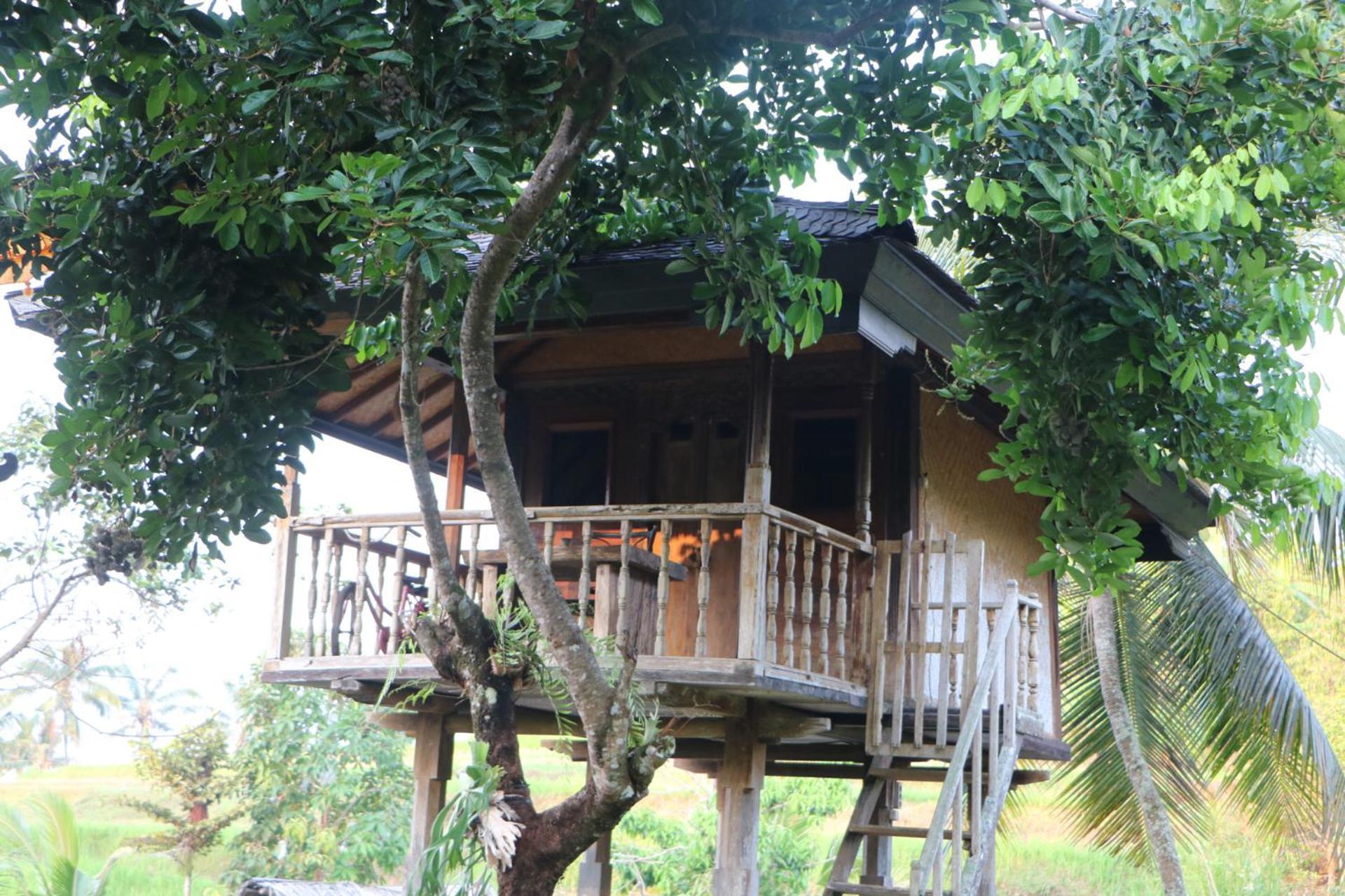 Mesari Cottage Guest House Buleleng  Luaran gambar