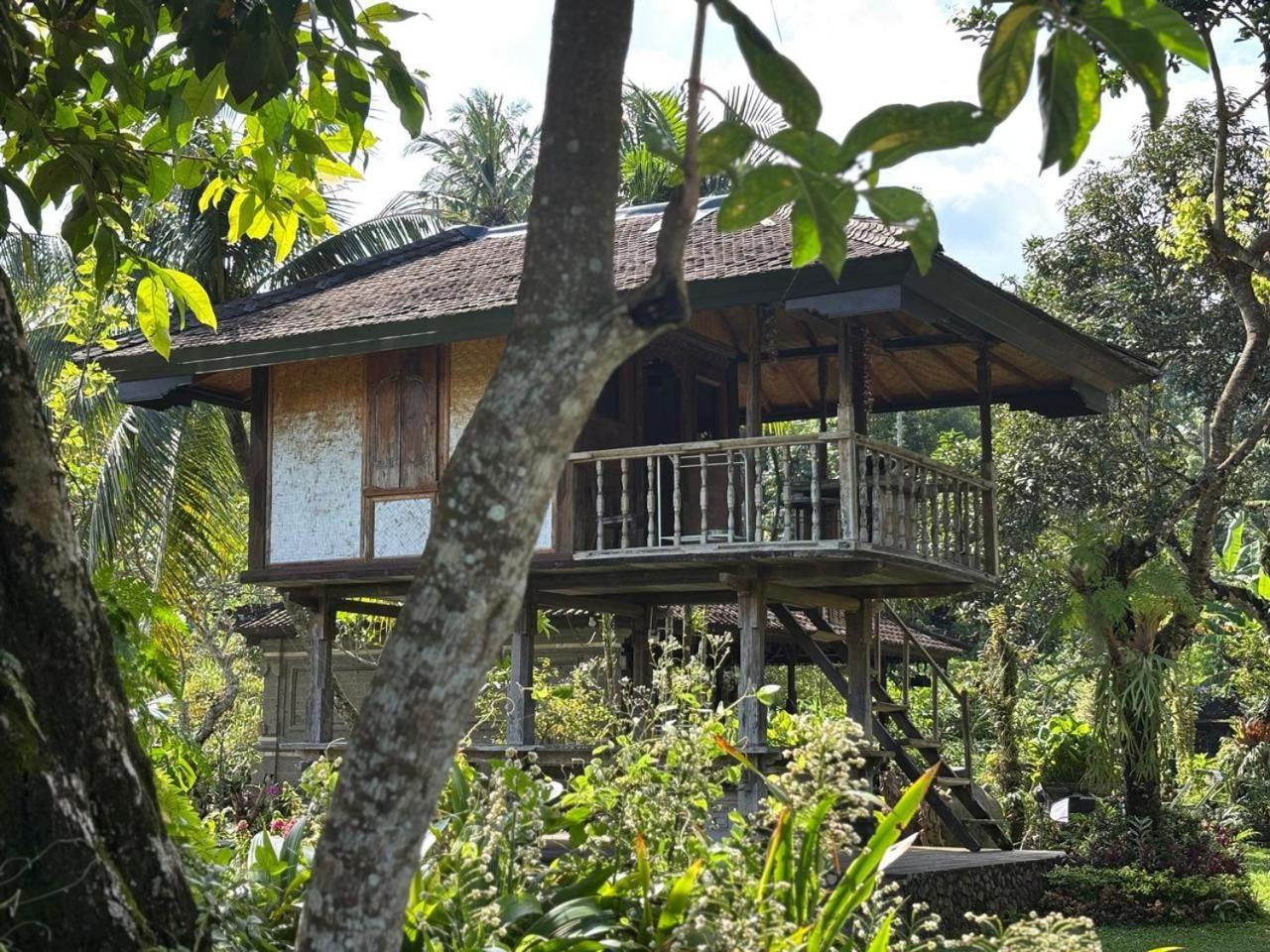 Mesari Cottage Guest House Buleleng  Luaran gambar